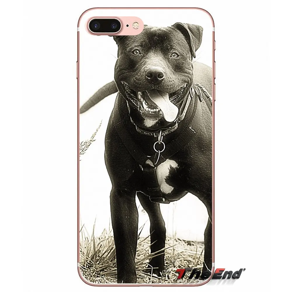 Мягкий чехол для мобильного телефона pit bull dog Pitbulls Huawei Honor 4C 5X 5C 6X Mate 7 8 9 Y3 Y5 Y6 II 2 Pro G7