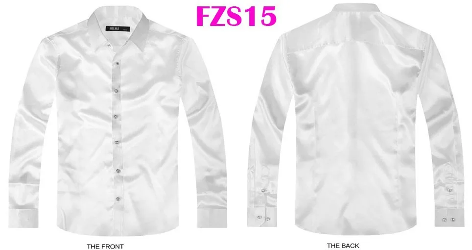 FZS15