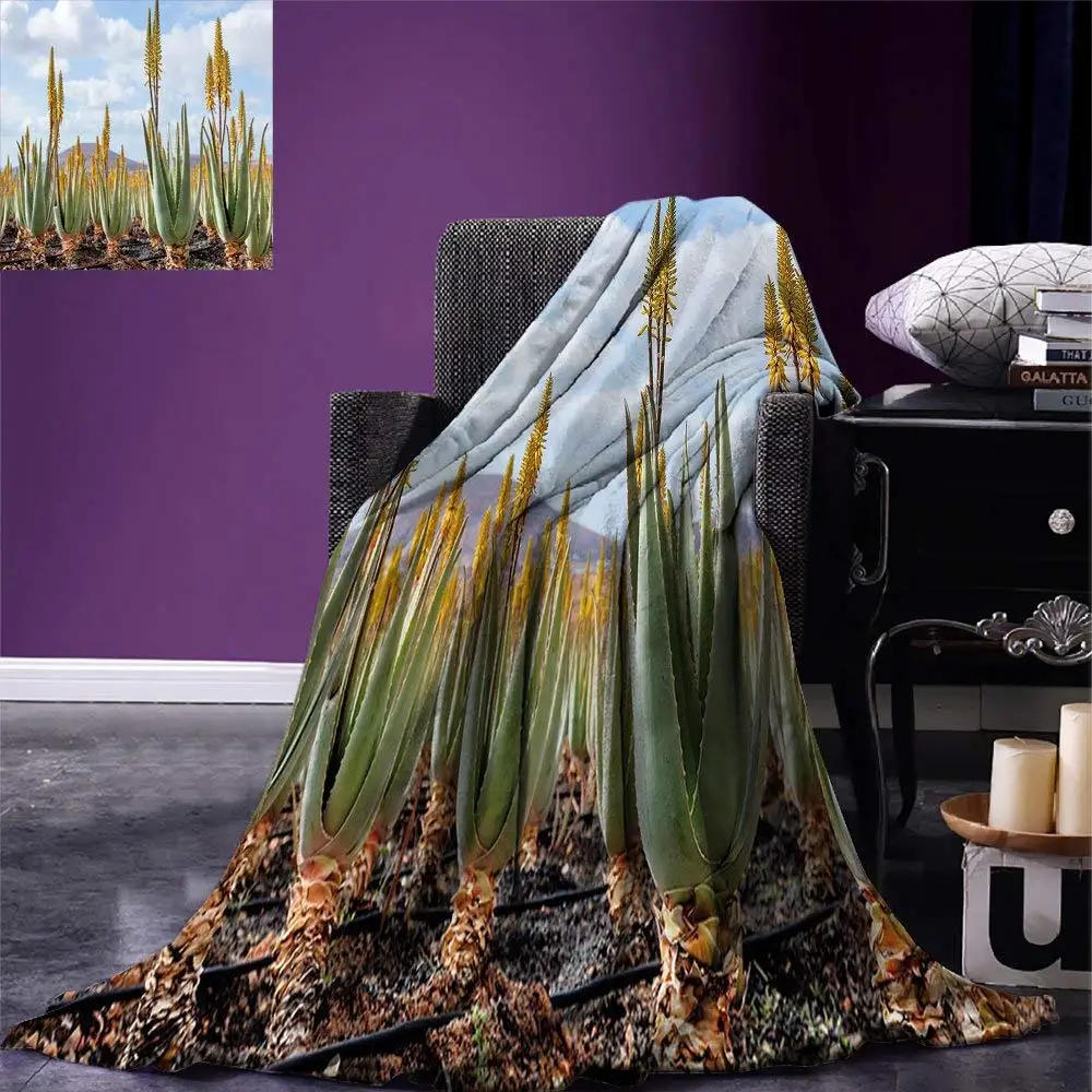 

Plant Throw Blanket Photo from Aloe Vera Plantation Medicinal Leaves Remedy Fuerteventura Canary Islands Microfiber