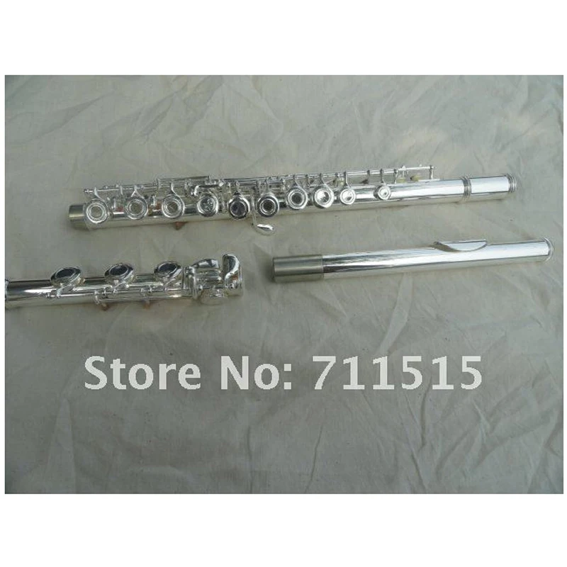 FL-511SE 17 C مفتاح ثقوب فتح الجدرانيات C الناي بيكولو الناي آلات موسيقية مع حقيبة FL-511SE 17 C مفتاح ثقوب فتح الجدرانيات C الناي بيكولو الناي آلات موسيقية مع حقيبة