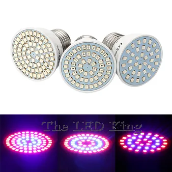

E27 GU10 MR16 Bulb Red + Blue Full Spectrum Led Grow Lamp For Flowering Plant and Hydroponics Lighting 48 60 80Leds Bulb Lamp