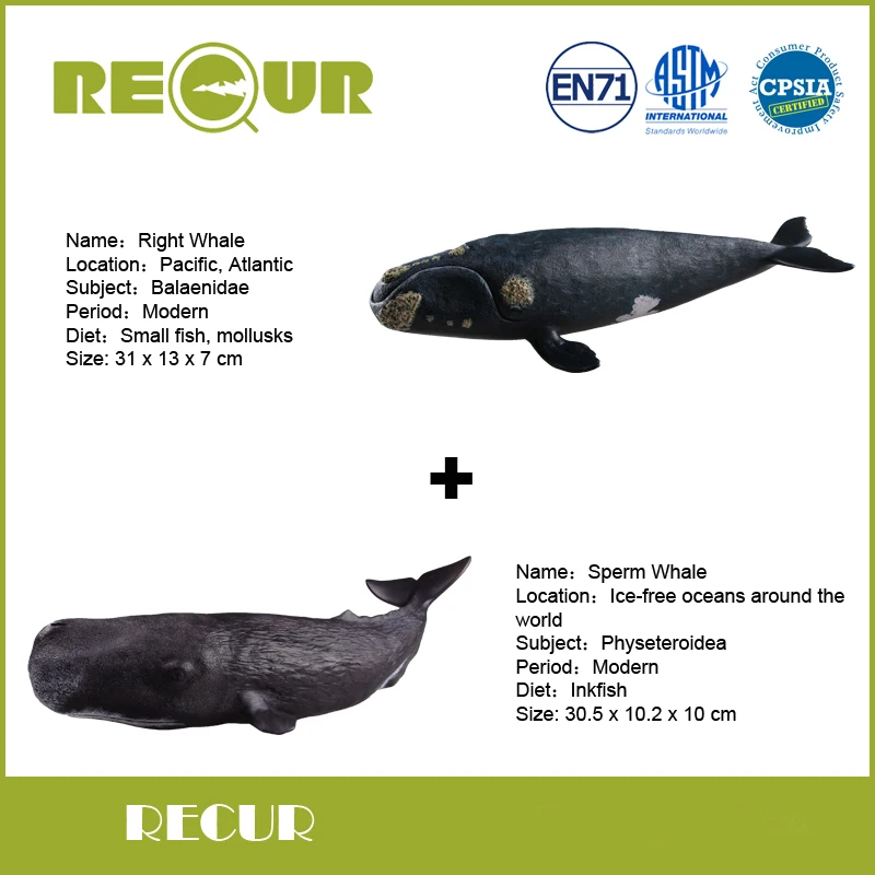 toy Sperm whale toy Sperm whale