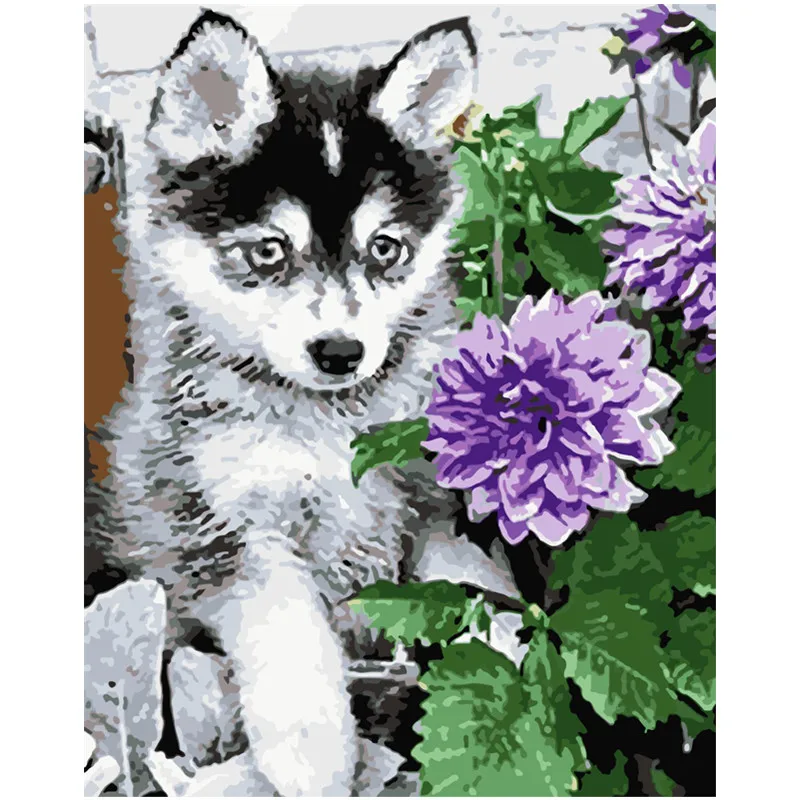 

Painting By Numbers DIY Dropshipping 40x50 50x65cm Flowers and cute puppy Animal Canvas Wedding Decoration Art picture Gift