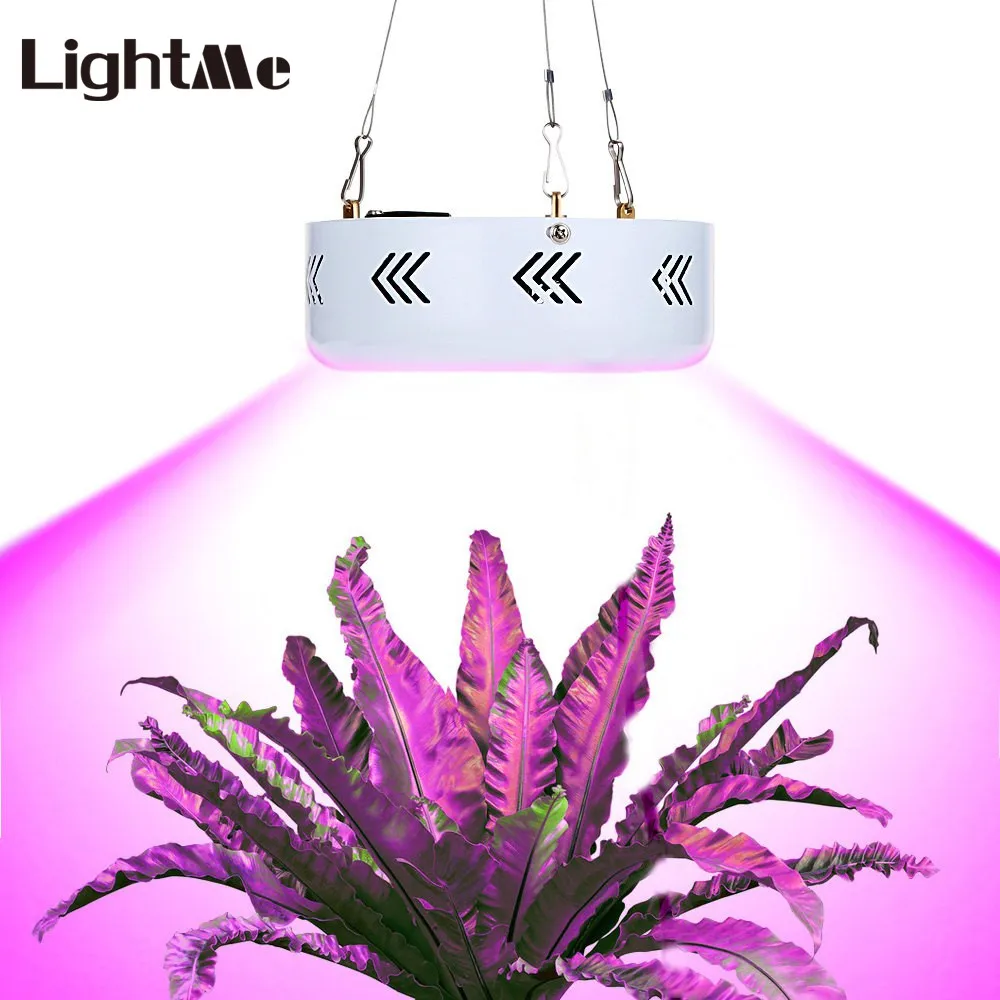 Ultraviolet lamps for plants: types, features of choice Ultraviolet lamps for plants: types, features of choice