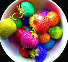 100 seeds/pack rainbow strawberry seeds fruit Multi-color strawberries seeds flower seed garden pots & planters