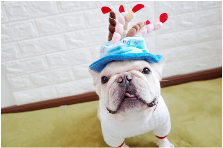 O1CN01BRUpd524eZhXJyLVv_!!795807416