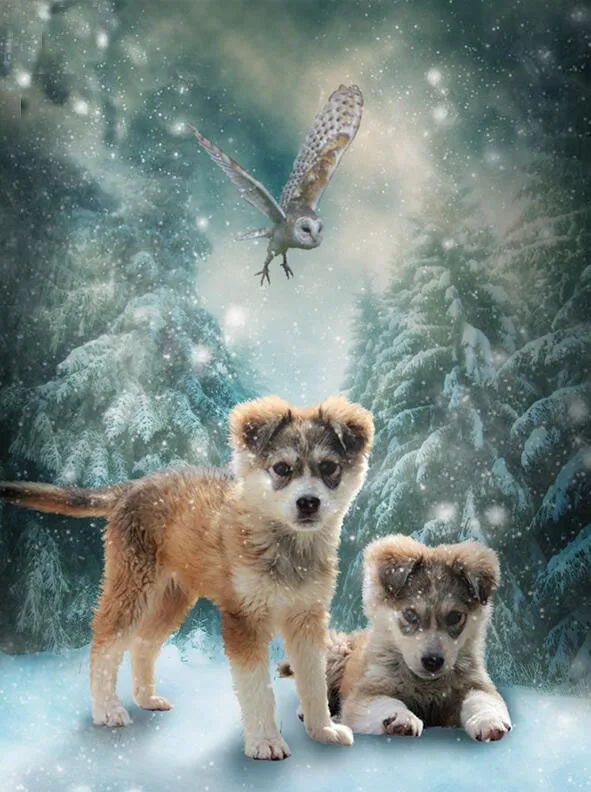 

5D DIY full Square drill Diamond painting Cross stitch Puppy & Owl Rhinestone embroidery Mosaic Home decor gift