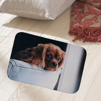 

Chihuahua bulldog dog 40x60cm floor mat hallway doormat suede Welcome entrance door mat anti-slip water Water absorption carpet