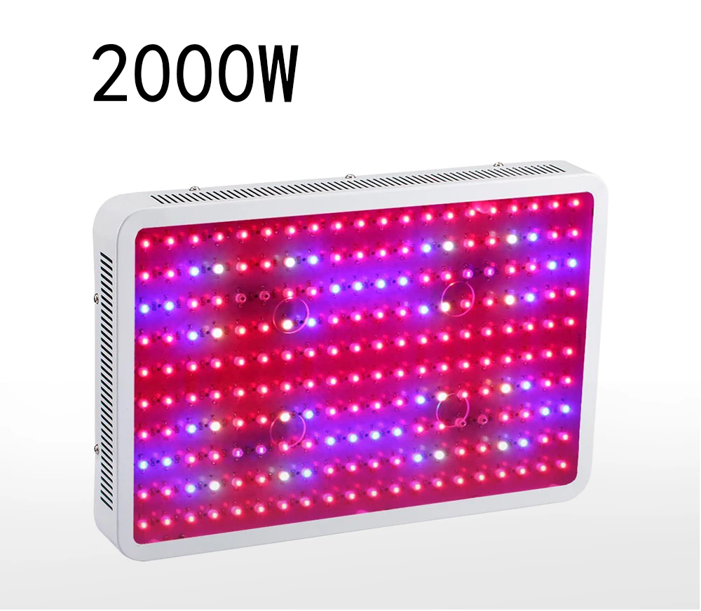 2000W_01