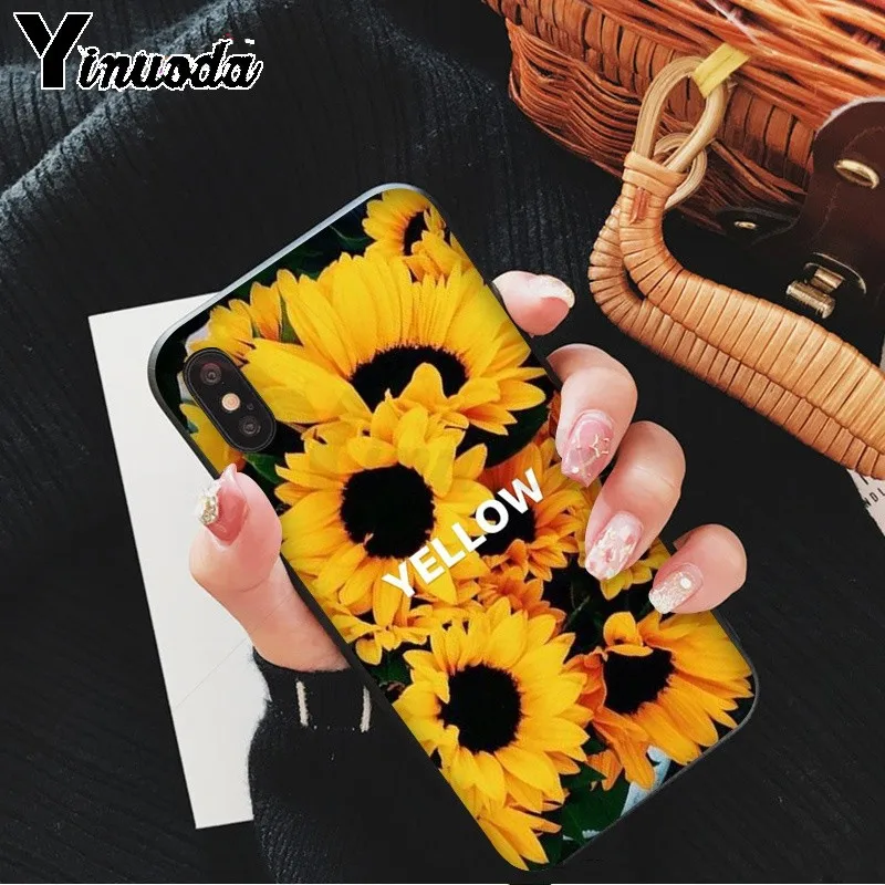 Yellow flower Small daisy sunflower