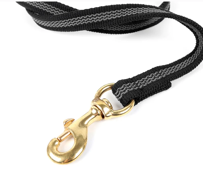 dog-leash-30306-d8