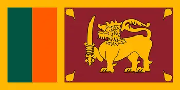 

90*150cm flag of sri lanka