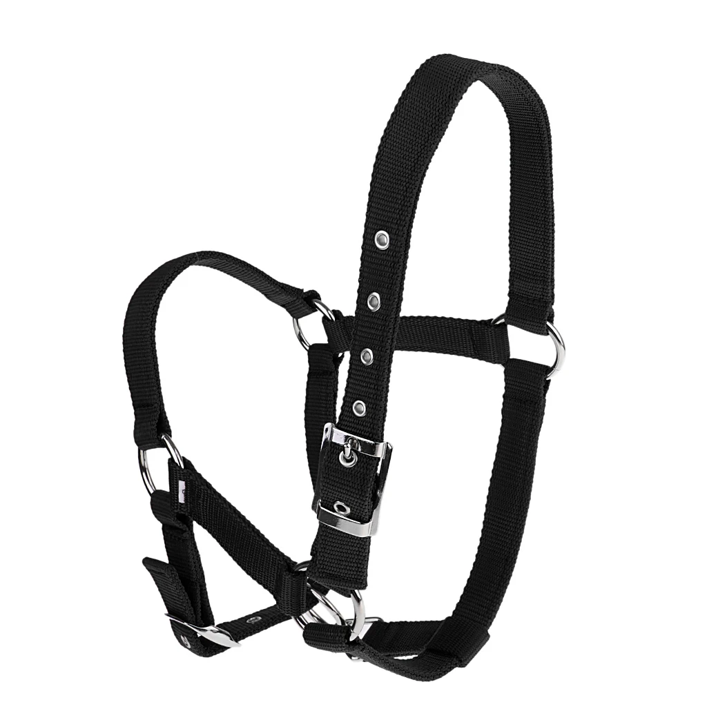 Strong and Durable Adjustable Webbing Equestrian Horse Halter Horse Riding Wear Adjustable Equestrian Horse Halter 