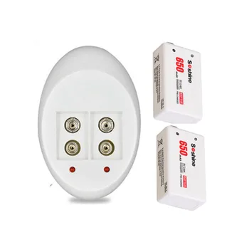 

2pcs/set Soshine 9V 6F22 650mAh Li-ion Rechargeable Battery + 9V Smart Charger with LED Indicator