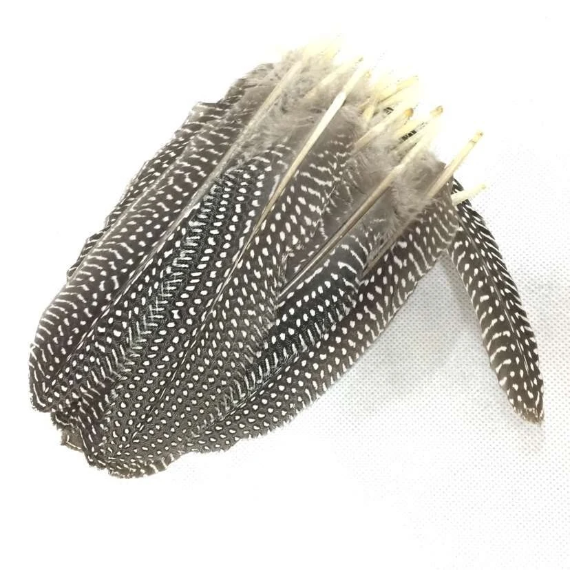 50pcs/lot Natuarl Pearl Chicken Feathers Pheasant Feathers 17 22cm