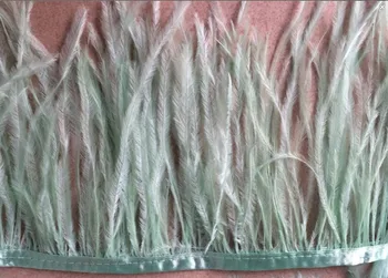 

Free Shipping 10 Yards/lot Mint green Ostrich feather Trim Fringe ostrich feather trimming 5-6inch wide for wedding dress