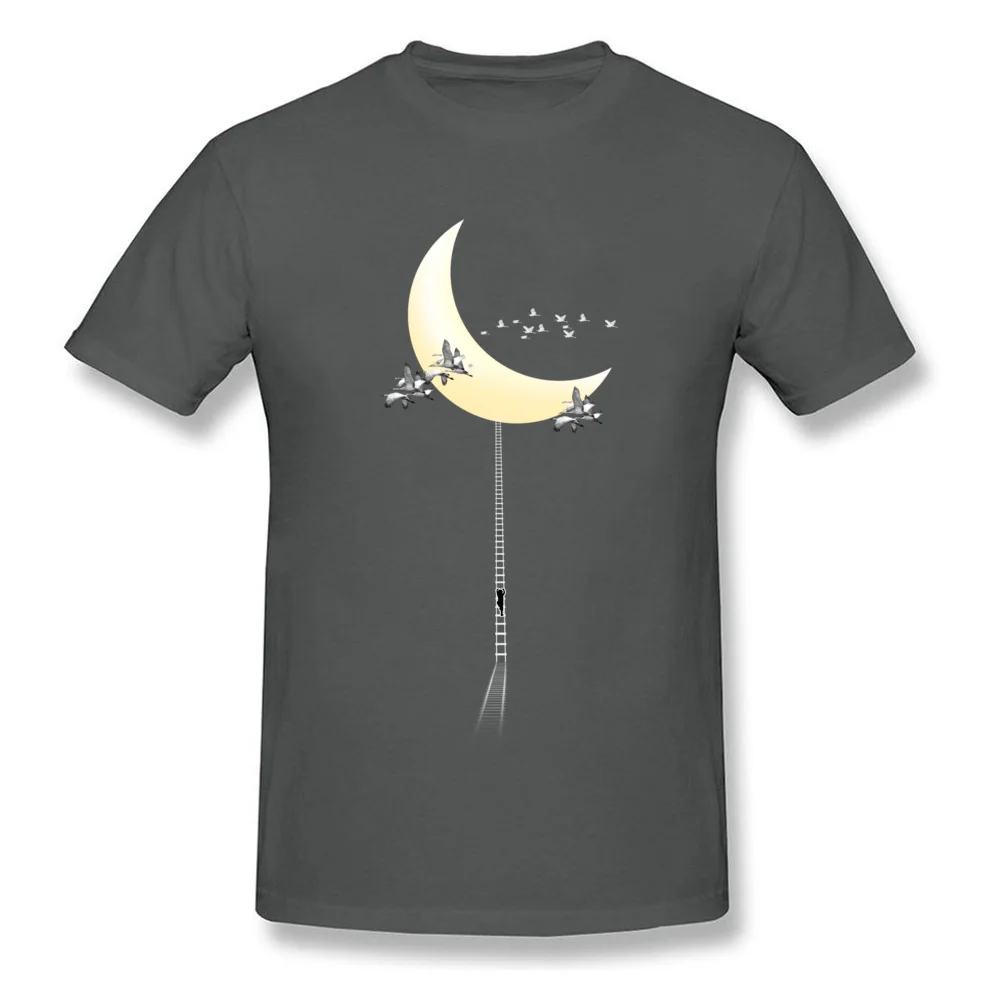 Crane Migration Normal April FOOL DAY Pure Cotton Crewneck Men's Tops Tees T-shirts Fashionable Short Sleeve Top T-shirts Crane Migration carbon