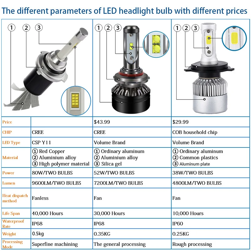 light bulbs for auto