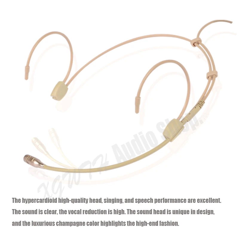 Professional Ear Hanging Headset Headworn