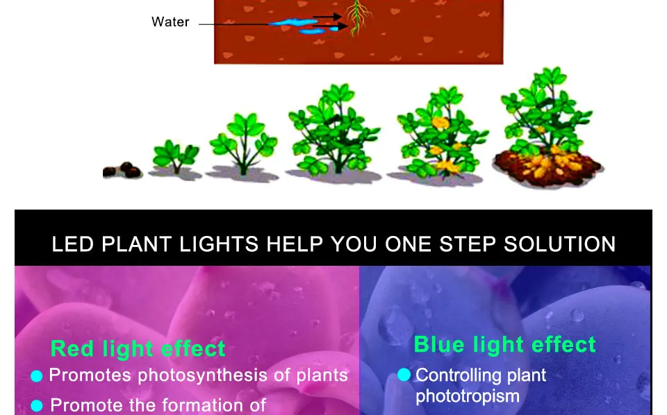 4pcs E27 LED Grow Light Full Spectrum Led Plant Lamp 220V Red Blue Phyto Lamp For Plants Indoor Greenhouse Hydroponics Grow Box (3)