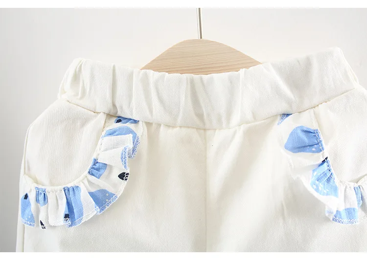 New Born Baby Girls Clothing Sets Princess Dress Tops+Hot short Pants 2 Pcs Kids Outfits Sets 2018 Children Summer Clothes Set (8)