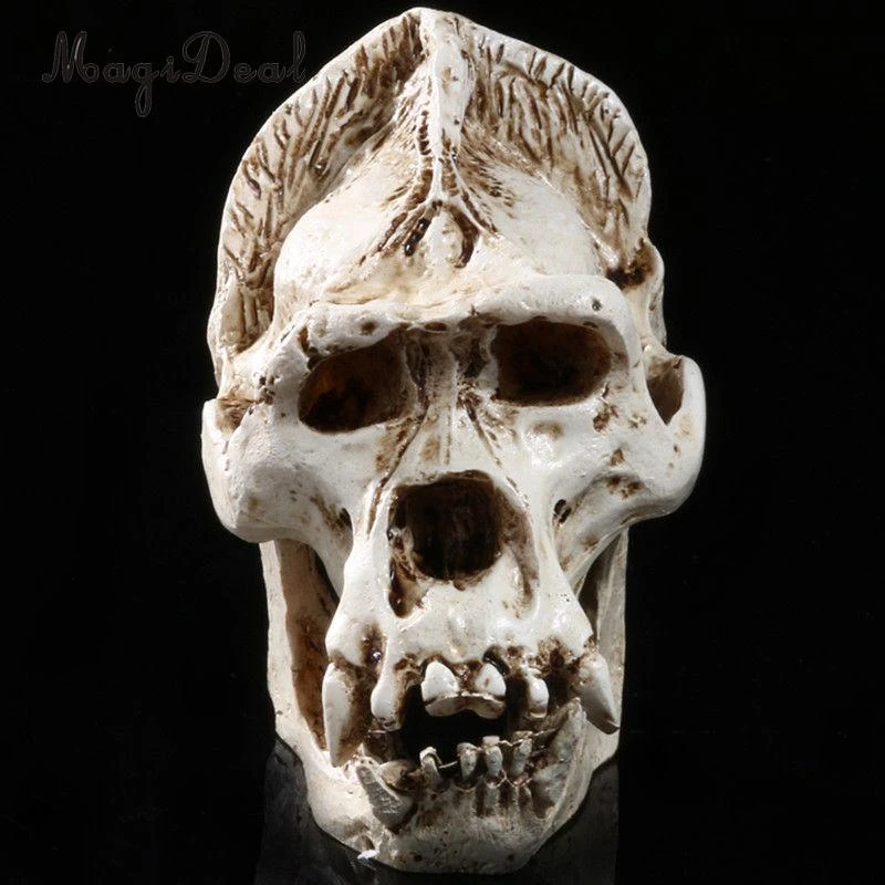 Realistic Model Gorilla Anatomy Skull Head Drawing Resin Collectable White Collection Model Aliexpress