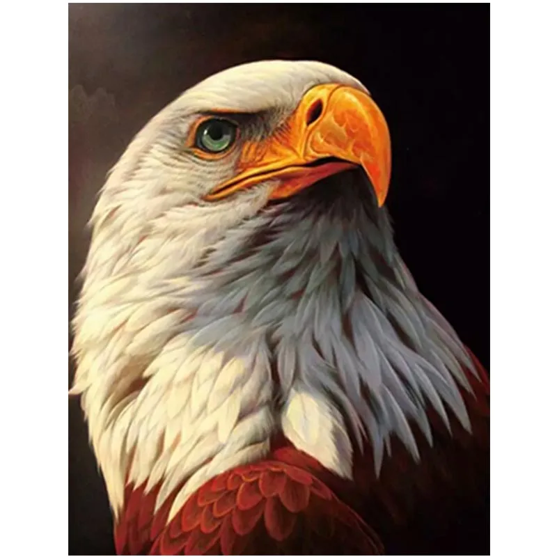 5D DIY Diamond Painting Special Daimond accessories Embroidery Animal eagle Full Rhinestone Mosaic Decor A56 | Дом и сад