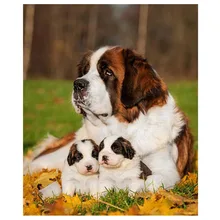 Фото на заказ Сделай Сам Алмазная картина вышивка крестиком собака сенбернар ПЭТ 5d алмазная вышивка полный квадратный круглый drillZP-946