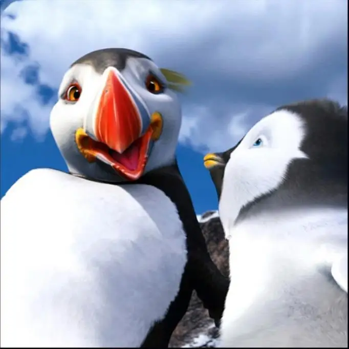 36020190517210228486