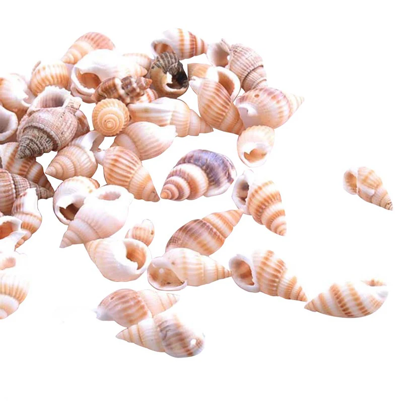 100 шт. браслет из прородного белого камня ракушек украшение аквариума домашний декор натуральный морской пляж раковины для рукоделия или вечерние украшения
