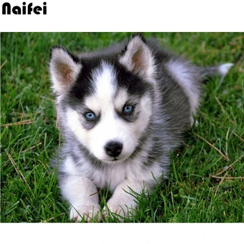 

Crafts DIY Full Cross Stitch Diamond Painting Husky puppy Animal Dog 5D Diamond Mosaic Embroidery Needlework Rhinestones decor