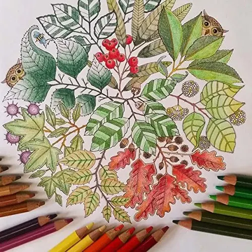 Secret Garden By Johanna Basford An Inky Treasure Hunt And Coloring Book Pbk Picture Relax 12 Colors Pencil Free In Books From Office School