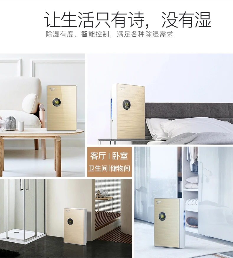 DS02 household humidifier Intelligent dehumidifier Air dehumidifier bedroom Mini mute Dryer