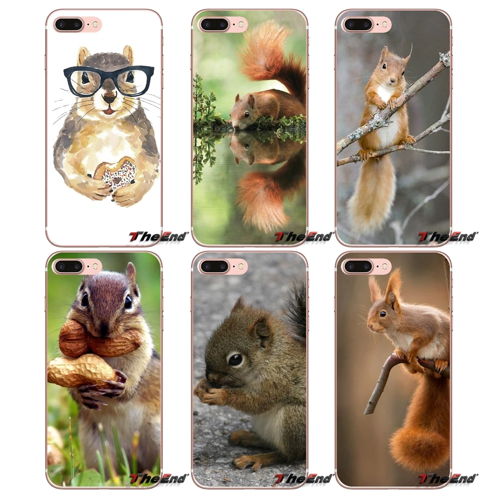 

Soft Transparent Cases Covers squirrel For iPhone XS Max XR X 4 4S 5 5S 5C SE 6 6S 7 8 Plus Samsung Galaxy J1 J3 J5 J7 A3 A5