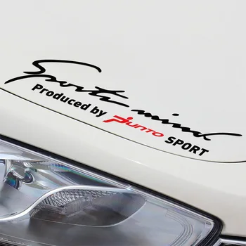 

2 Pieces Customization PUNTO Sport Car Covers Car Stickers Decal Car Styling For FIAT PUNTO grande punto car accessories