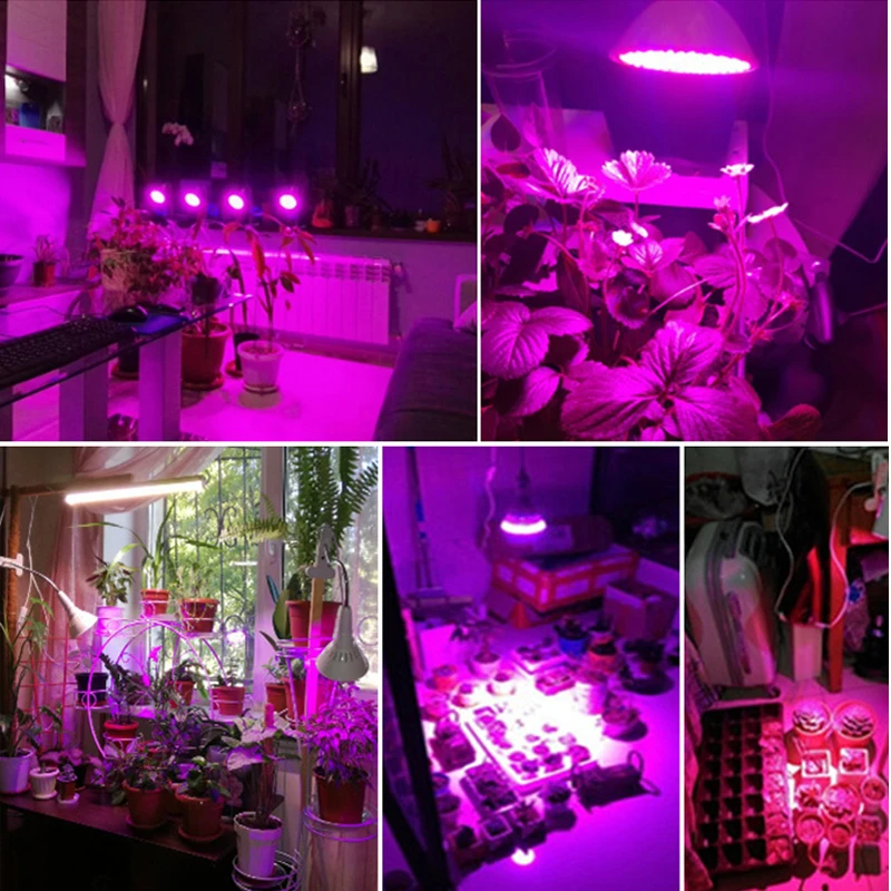 E27 Base 15W 20W 30W led grow light Hydroponic lighting with Clip plants Lamps for hydroponics system indoor garden greenhouse (12)
