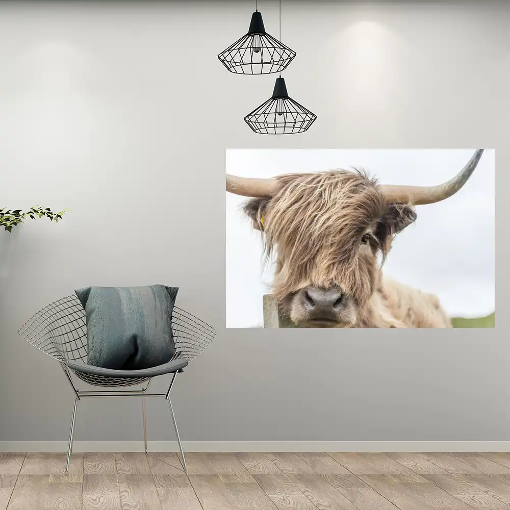 Printed Wall Art Highland Cow Print And Poster Cattle Canvas Art
