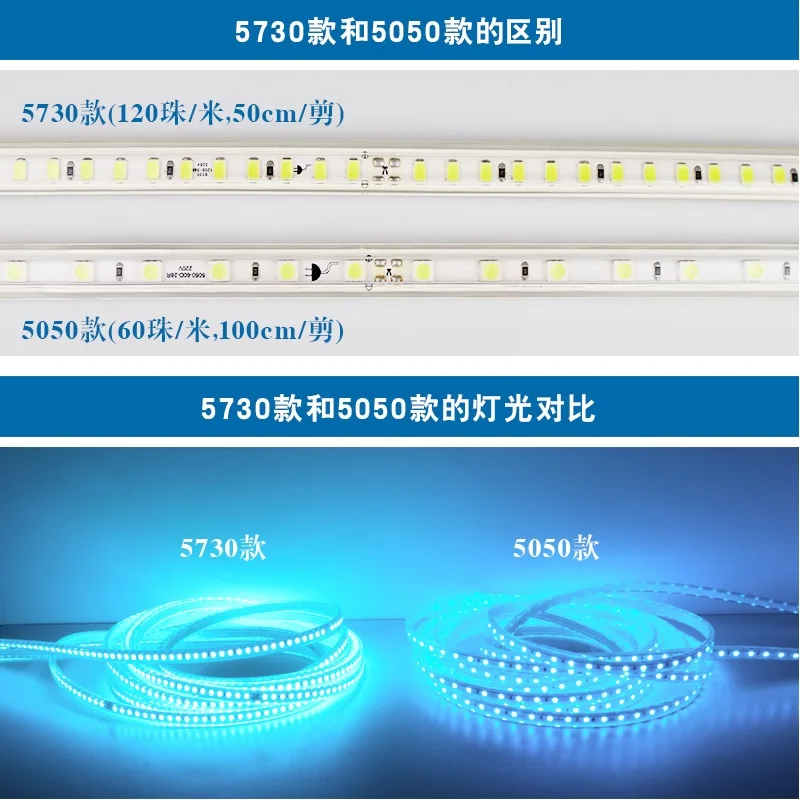 1000m Pack, Outdoor 220V LED Flexible Neon Stripe of Ocean Blue with 5730 Beads / 100m per Spool / 3 Years Warranty