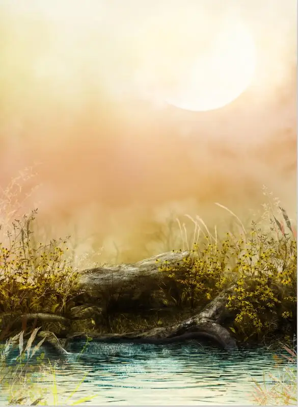 

2m*3m Vinyl Backdrops for Photography Scenic theme  Background Photo Studio Prop HU-05418