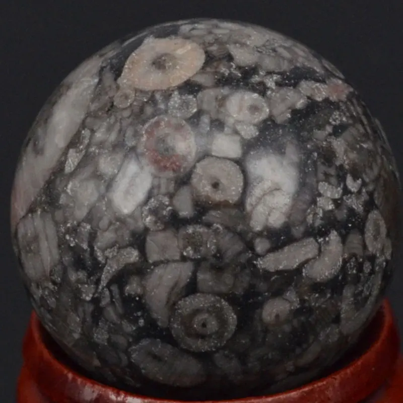 

Free Shipping Natural Gemstone 29MM Crinoid Fossil Jasper Sphere Crystal Ball Chakra Healing Reiki Carving Crafts With Stand