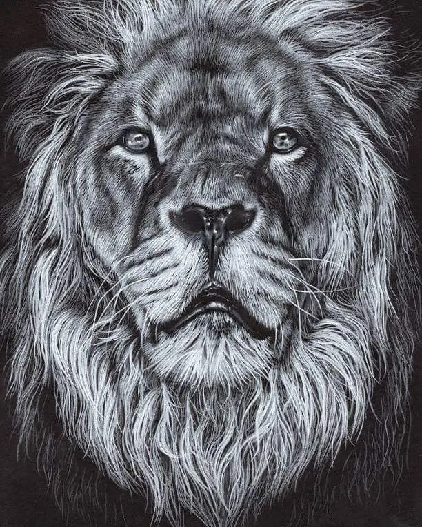 50