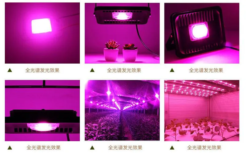 DOB-100W 150W 2_