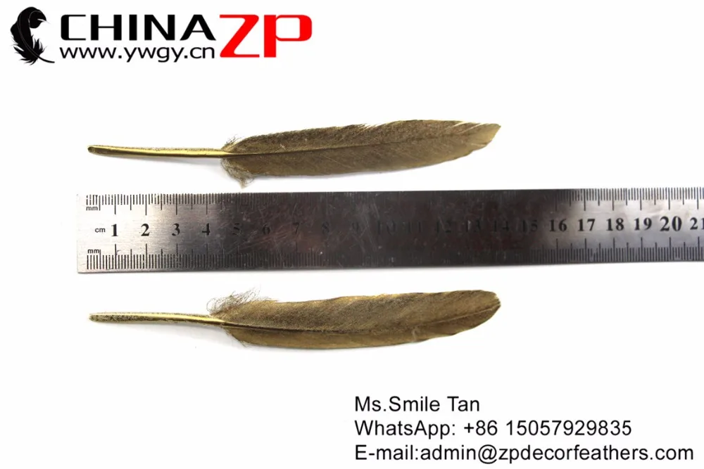 Printed glitter oneside Duck Feather (8)