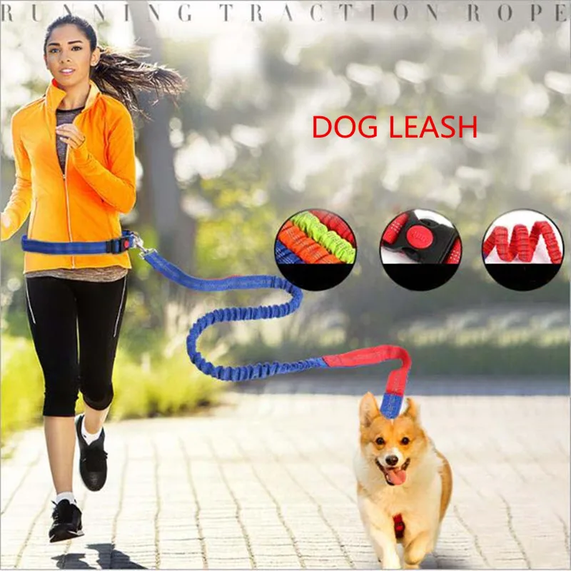Bebo Dogs Leash Running Elasticity Hand Freely Pet Products Dogs