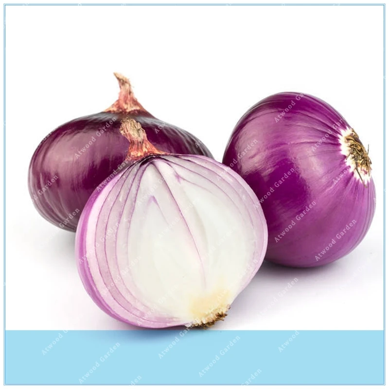

ZLKING 100PCS New Hot Delicious Giant Onion Organic Vegetables