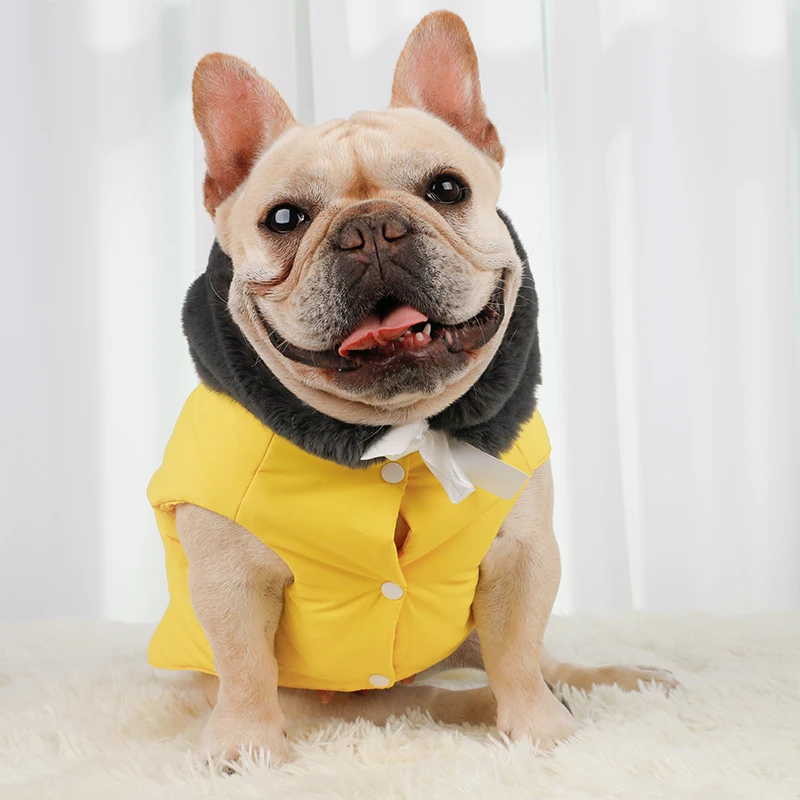 yellow dog coats