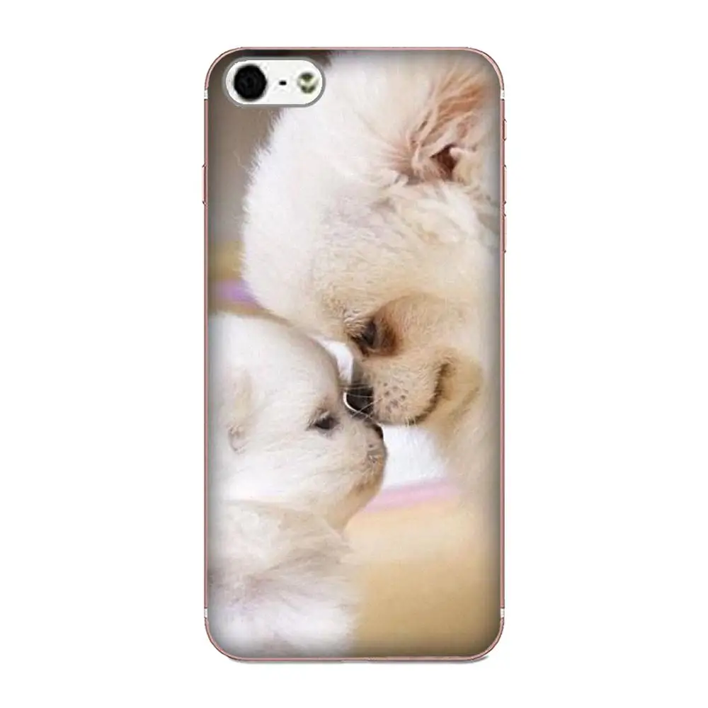 Мягкий индивидуальный дизайн для Apple iPhone 4 4S 5 5C 5S SE 6 6S 7 8 Plus X XS Max XR Pomeranian Puppy