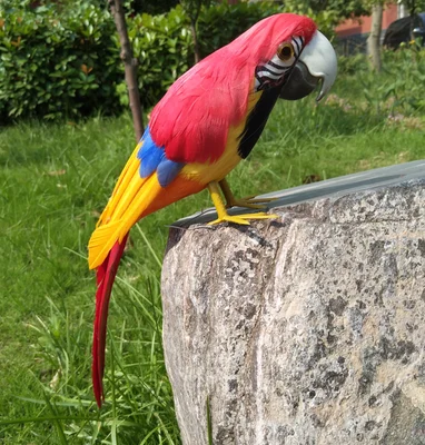 

about 32cm orange red feathers parrot model stage prop,home garden decoration birthday gift w0952