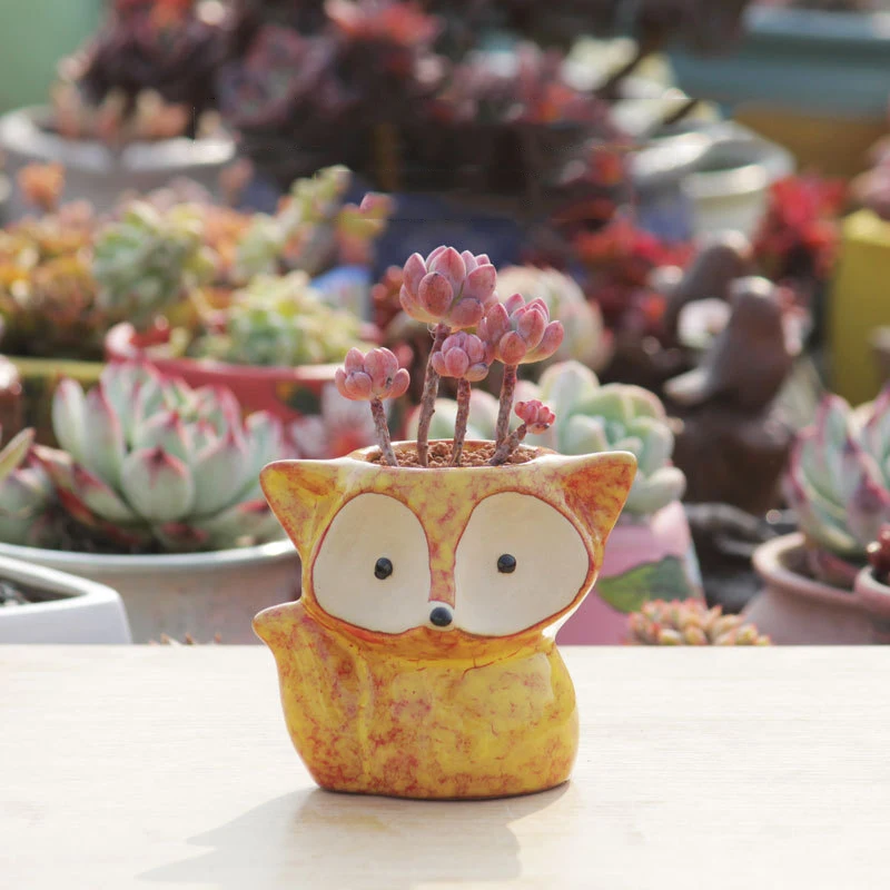 Creative Cartoon Fox Ceramic Flower Pot Thumb Pot Succulent Plant Pot Stoneware Breathable Pottery Basin Garden Decoration