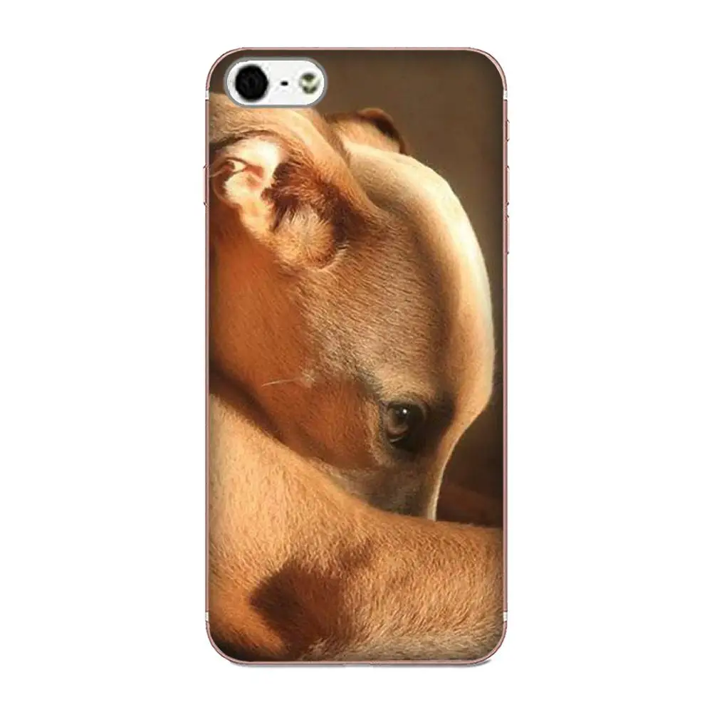 Мягкие чехлы из ТПУ Galgo Greyhound Dog для Xiaomi Redmi Mi Note 7 8 9 SE Pro Lite Go Play|Чехлы-накладки| |